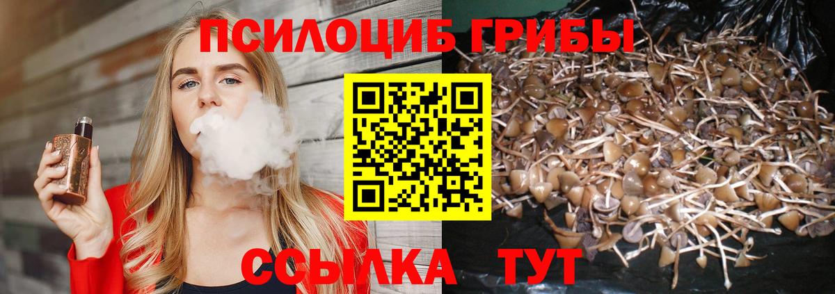 Лангепас  Галлюциногенные грибы GOLDEN TEACHER  Вход с VPN  Галлюциногенные грибы GOLDEN TEACHER 